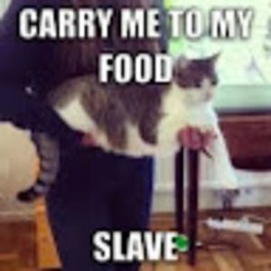 Meet your Posher, Clea